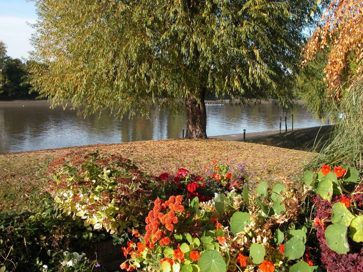 Chiswick Riviera With Free Parking Bed & Breakfast London Ngoại thất bức ảnh