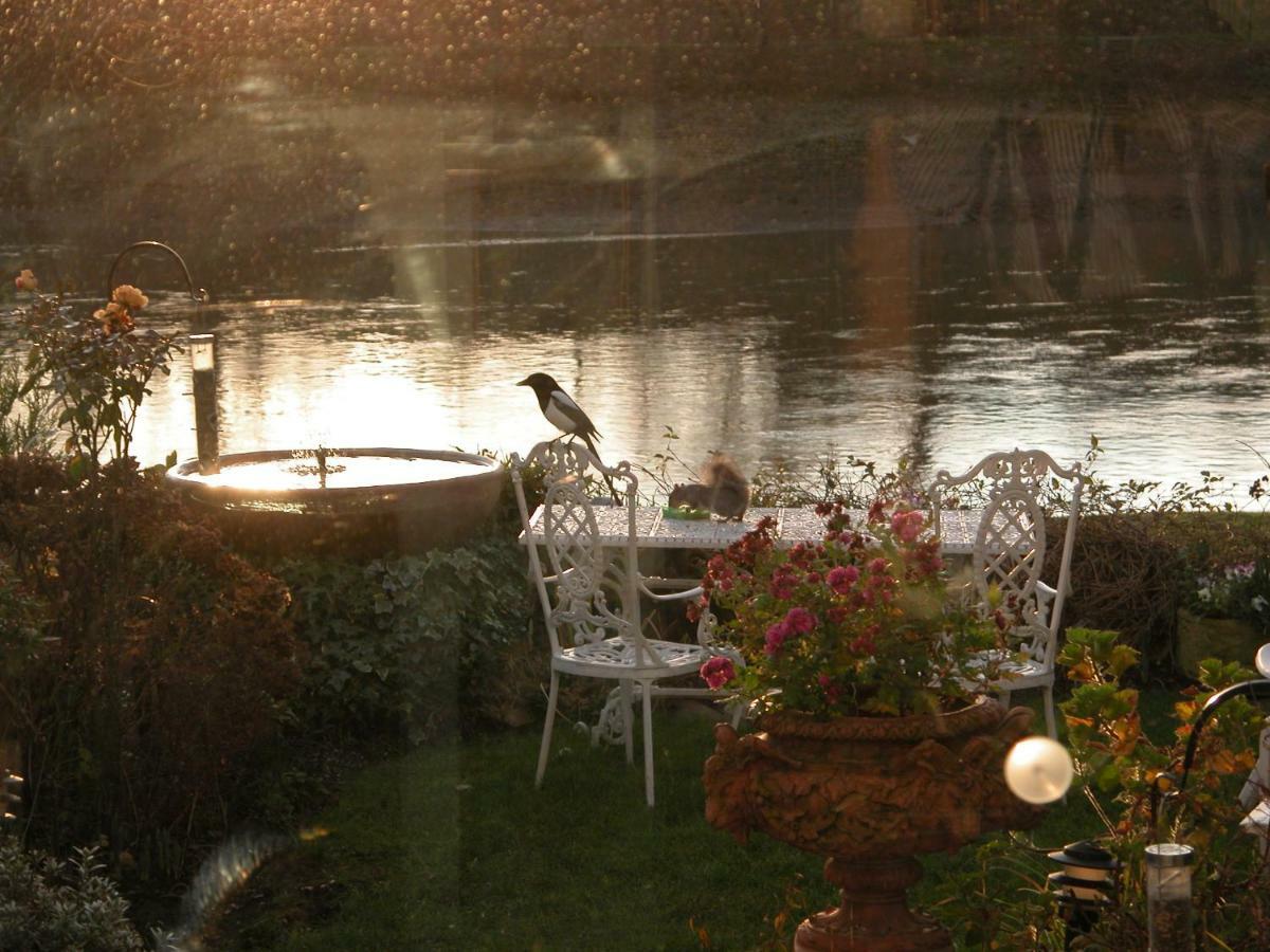 Chiswick Riviera With Free Parking Bed & Breakfast London Ngoại thất bức ảnh