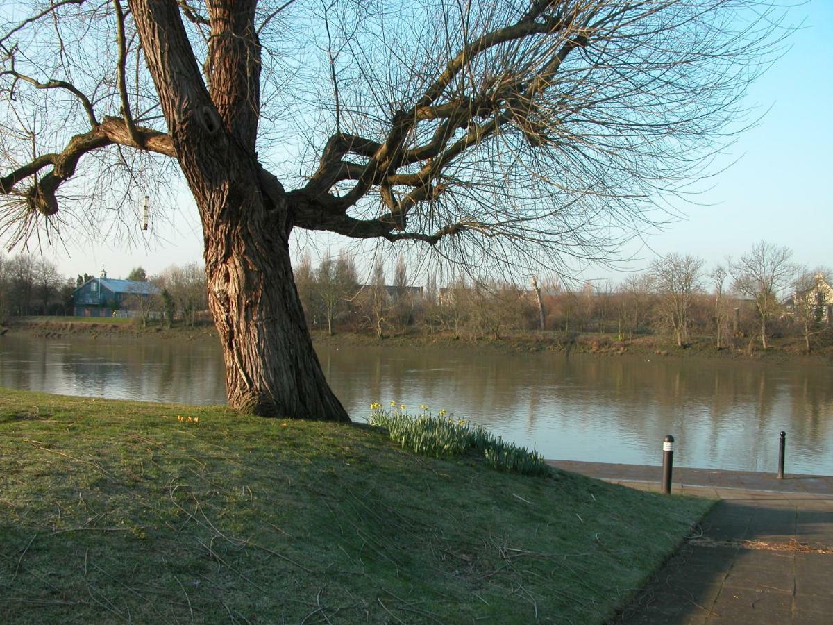 Chiswick Riviera With Free Parking Bed & Breakfast London Ngoại thất bức ảnh